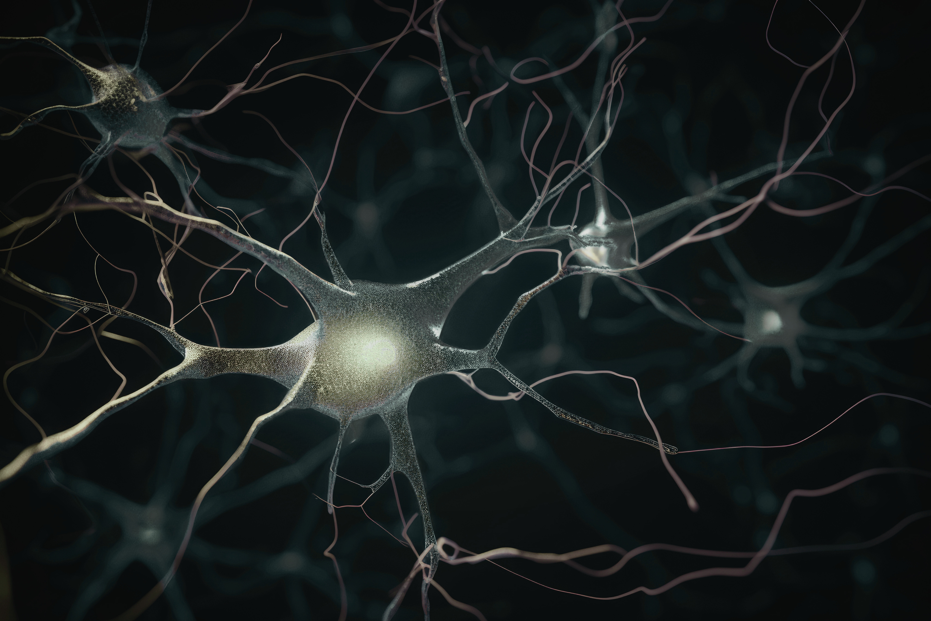 Intervenção Neuropsicológica